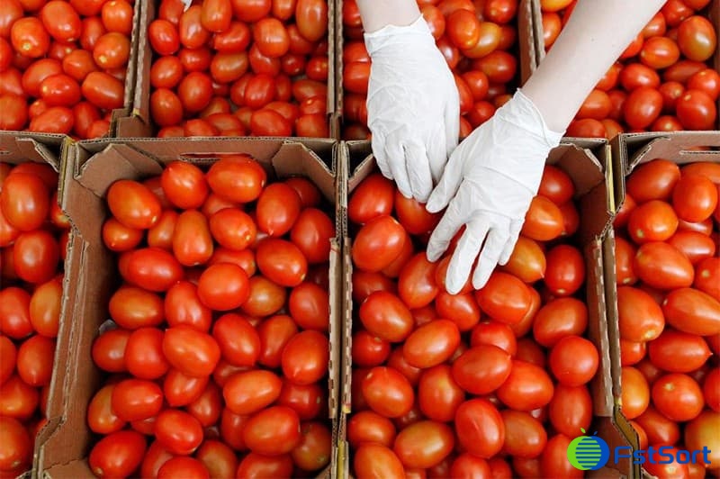 images/1674029071046tomato sorter.jpg